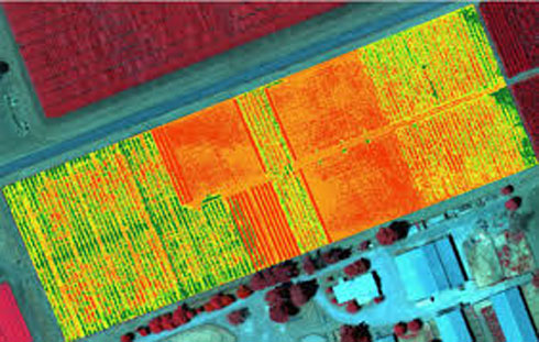 RPAS Multispectral